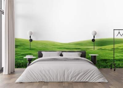 green grass field isolated on transparent or white background for display products Wall mural