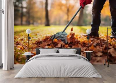 man with a fan rake picking up fallen leaves in autumn Wall mural