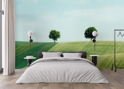 rolling hills best-seller landscape with two isolated trees under a clear sky on a bright summer day Wall mural