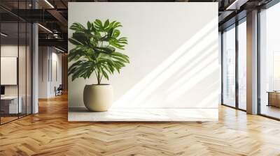 Scandinavian minimalistic home light white interior with green plant Wall mural