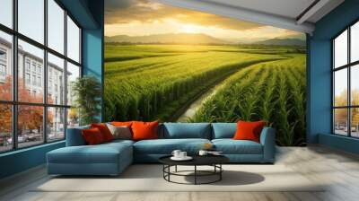 Sugarcane field and cloudy sky at sunset Wall mural