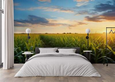 sunset beauty over corn field with blue sky and clouds landscape, agricultural background Wall mural