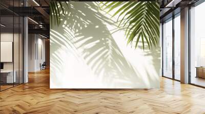 tropical palm foliage leaf sunlight shadow on white wall for hygiene organic cosmetic, skincare, beauty treatment product background Wall mural