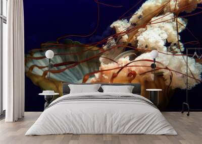 Jellyfish Wall mural