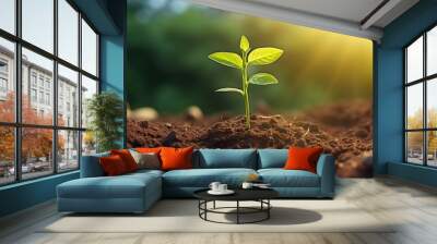 small plant growing on land with sunshine agriculture Wall mural