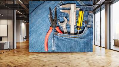 tool kit in jean pocket Wall mural