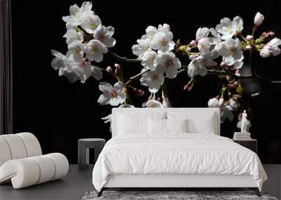 flowers of cherry Wall mural