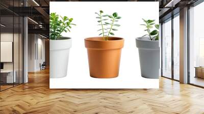 Collection Of Mixed Plant Pots Black White And Grey For Indoor Gardens And Brochures isolated on transparent background. Generative ai Wall mural