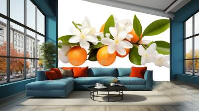 Orange Blossom isolated on transparent png background. Generative ai Wall mural