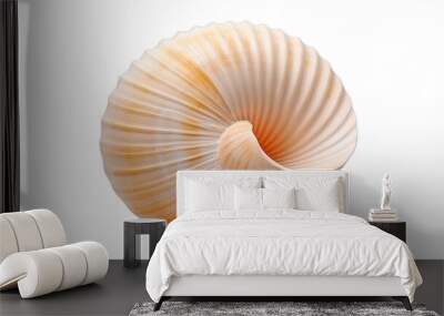 seashell isolated on transparent png background. Generative ai Wall mural