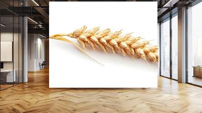 Golden Wheat Ear Wall mural