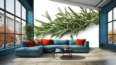 rosemary twig isolated on white Wall mural