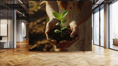 Unrecognizable woman holding a green seedling growing in soil. Anonymous female organic farmer protecting a young plant in her garden. Sustainable female farmer planting a sapling on her farm. Wall mural