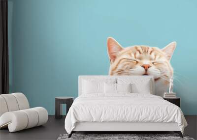 Happy smiling cat on blue green background Wall mural