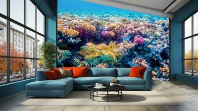 Beautifiul underwater colorful coral reefs Wall mural