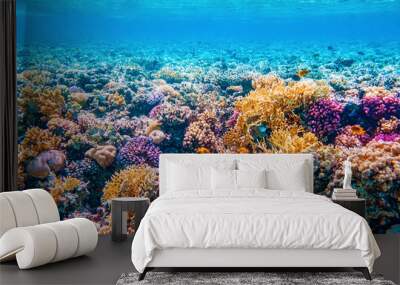 Beautifiul underwater world with tropical fish and coral reefs Wall mural