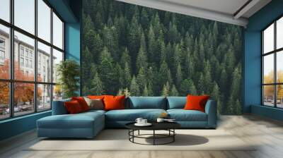 Panoramic view of evergreen pine wood from drone Wall mural