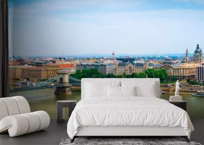 picturesque view on Budapest and Danube Wall mural