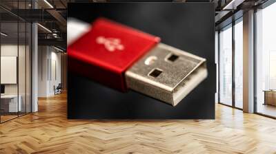 Red USB connector for smartphone and gadgets closeup on black background. Plug cable for mobile devices in macro Wall mural