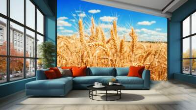 Gold wheat field and blue sky Wall mural