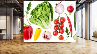 Different salad vegetable set. PNG with transparent background. Flat lay. Without shadow. Wall mural