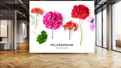 Geranium flowers collection Wall mural