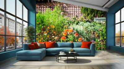 Vegetable garden. Wall mural