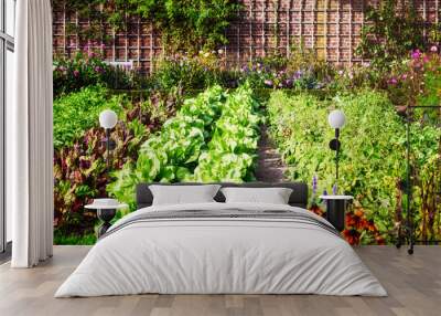 Vegetable garden Wall mural