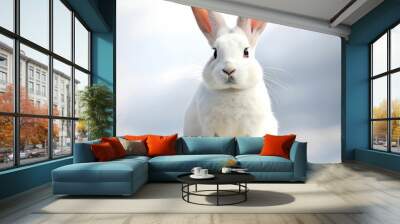 a white rabbit sitting on rocks with white background Wall mural