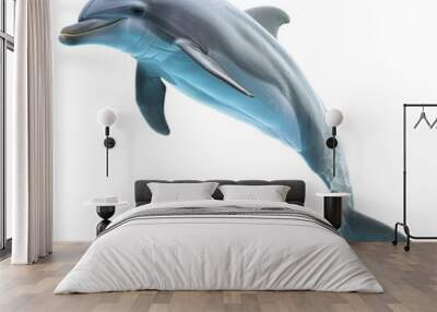 A bottlenose dolphin leaping on a Png background, a bottlenose dolphin isolated on transparent background Wall mural