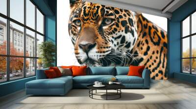 a jaguar up close, displaying its distinctive markings, on a png background, a jaguar isolated on tr Wall mural