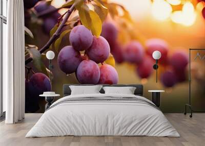 Ripe plums on a tree branch in the garden at sunset, A branch with natural plums on a blurred background of a plum orchard at golden hour, AI Generated Wall mural