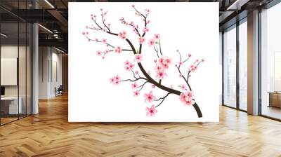 sakura on white background. cherry blossom flower blooming vector. watercolor cherry bud. cherry blo Wall mural