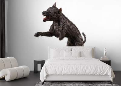 3D illustration of a fierce monster zombie dog fighting isolated on a white background. Wall mural