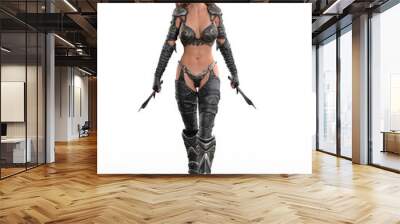 A beautiful exotic fantasy dark elf warrior woman walking towards the camera armed with two daggers. 3D rendering. Wall mural