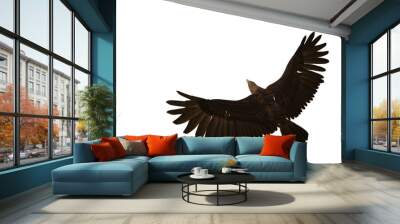 Golden Eagle in flight seen from above, 3D illustration isolated on white background. Wall mural