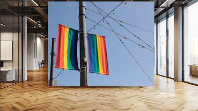 Rainbow flags at the Castro in San Francisco supporting diversity and inclusivity. Wall mural