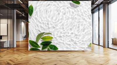 Green leaves on water surface. Beautiful water ripple background for product presentation. Copy space Wall mural