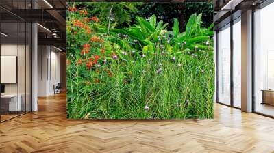 grass and flowers Wall mural