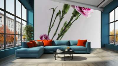 Pikn flowers on white background Wall mural