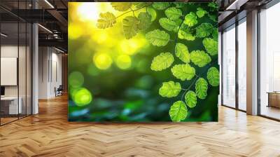   A close-up shot of a green leafy plant with sunlight filtering through the foliage from behind Wall mural