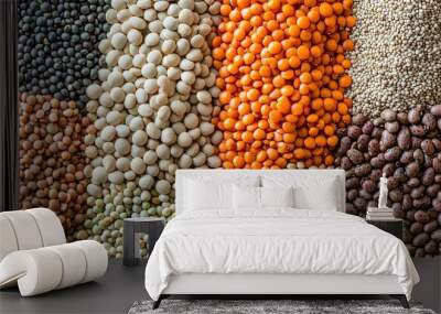   A variety of beans and lentils in different colors and sizes, such as oranges, yellows, greens, and browns Wall mural