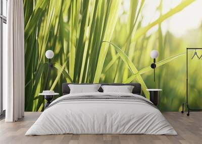   A zoomed-in shot of lush green grass illuminated by the sun and swaying gently in the breeze Wall mural