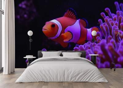   An orange and white clownfish in a purple sea anemone in a coral sea anemone, an anemone anemone anemone, anemone anem Wall mural