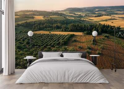 Aerial view of countryside with field and olive plantation, Chalkidiki, Greece Wall mural