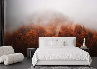 autumn - mountain in the fog Wall mural