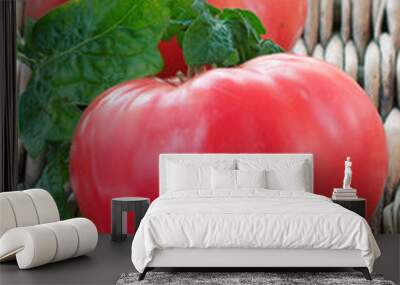 Big red fresh tomatoes Wall mural