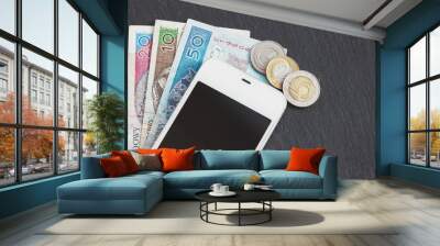 Polish zloty and a phone, on the black slate stone background Wall mural