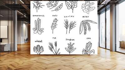 Cereals. Collection of outline icons. Vector illustrations on white background. Wall mural