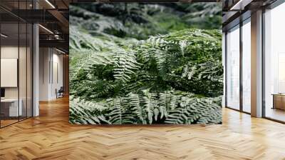 Floral pattern of fern thickets in forest Wall mural